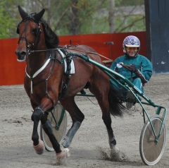 Ugly Duckling 160510-5